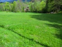 Building lot, 2225 m2, Semily, Paseky nad Jizerou