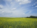 Feld, 7810 m2, Ostrava-město, Klimkovice