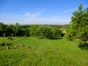 Garden, 400 m2, Chomutov, Údlice