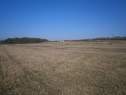 Prodej, stavební parcela, 64.142 m2, Malesice