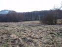 Pastureland, 31796 m2, Bruntál, Roudno