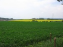 Orná půda, Bělotín, okr. Přerov