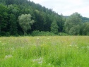 Feld, 2000 m2, Bruntál, Karlovice