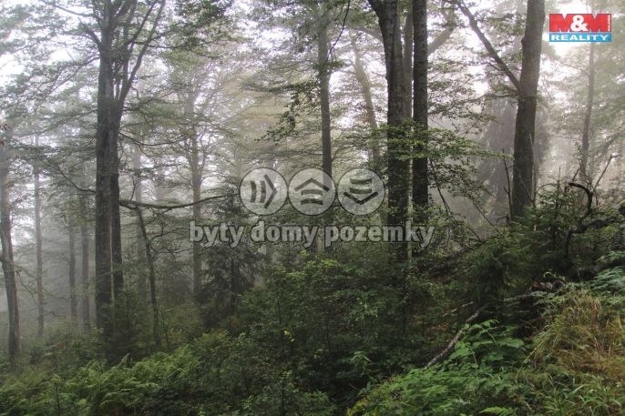 Prodej, Ostatní, Nýdek