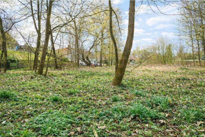 Prodej, Zahrada, Kořenice