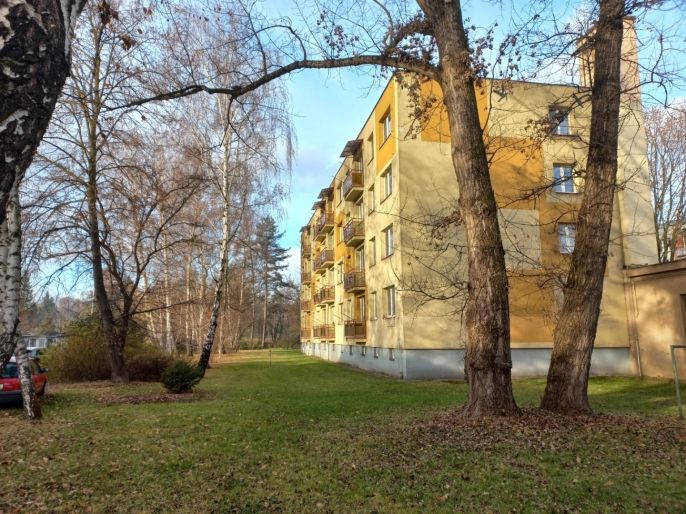 Pronájem, Byt 2+1, Český Těšín