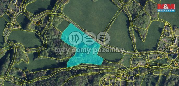 Prodej, Les, Homole u Panny