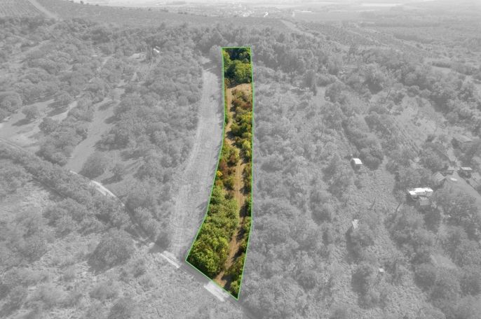 Prodej, Zahrada, Židlochovice