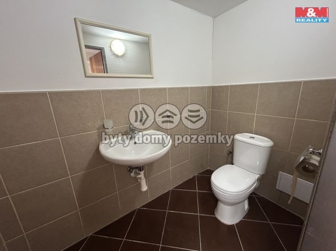 Pronájem, Obchod a služby, Louny