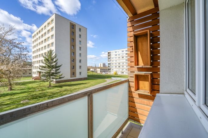 Pronájem, Byt 3+kk, Plzeň