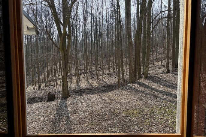 Prodej, Chata, Lančov