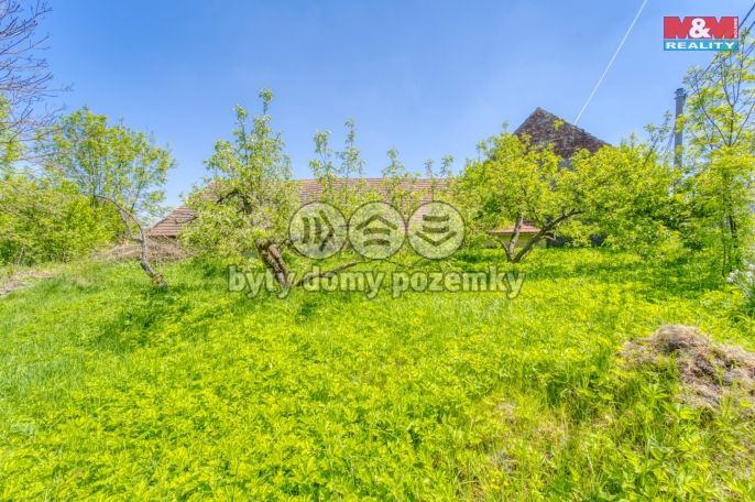 Prodej, Rodinný dům, Zborovy