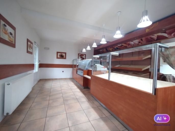 Pronájem, Obchod a služby, Vejprty