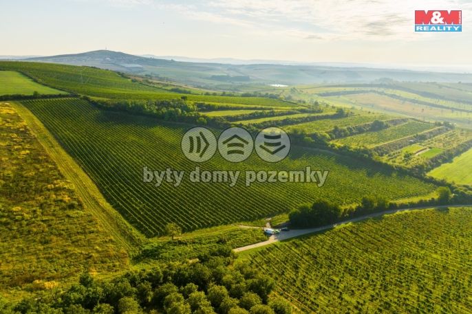 Prodej, Vinice, Šardice