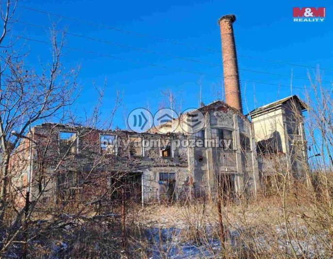 Prodej, Výrobní objekt, Ryžoviště