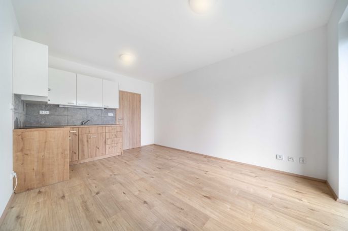 Pronájem, Byt 1+kk, Třemošná