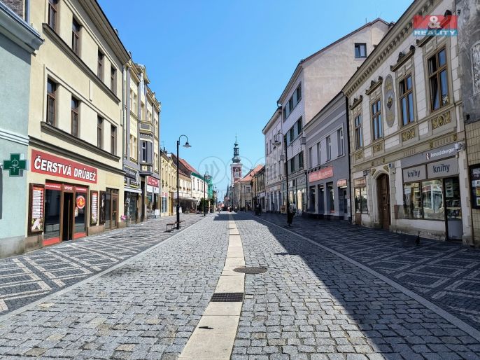 Pronájem, Obchod a služby, Slaný