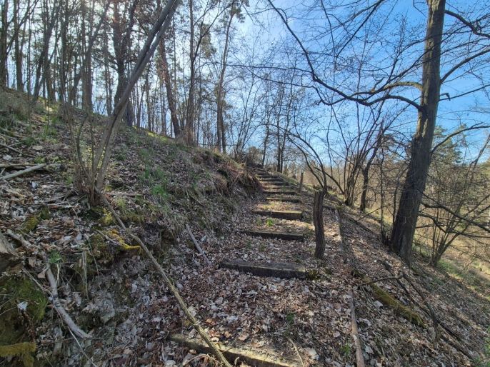 Prodej, Chata, Plešnice