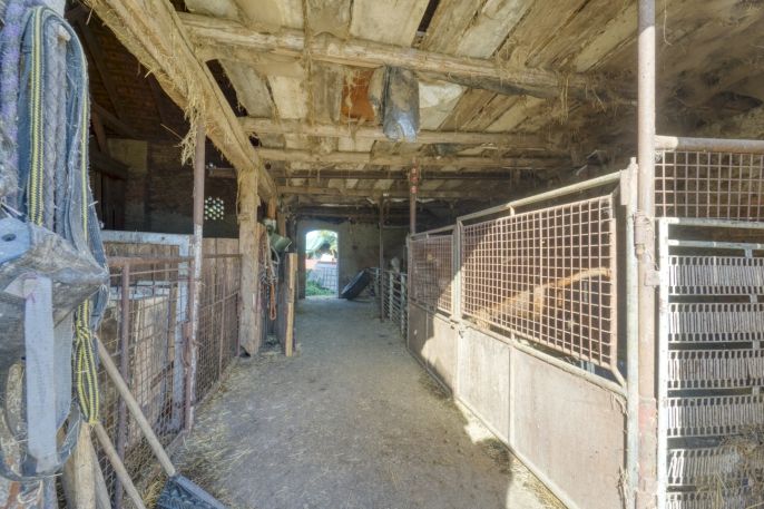 Prodej, Zemědělská usedlost, Čečovice