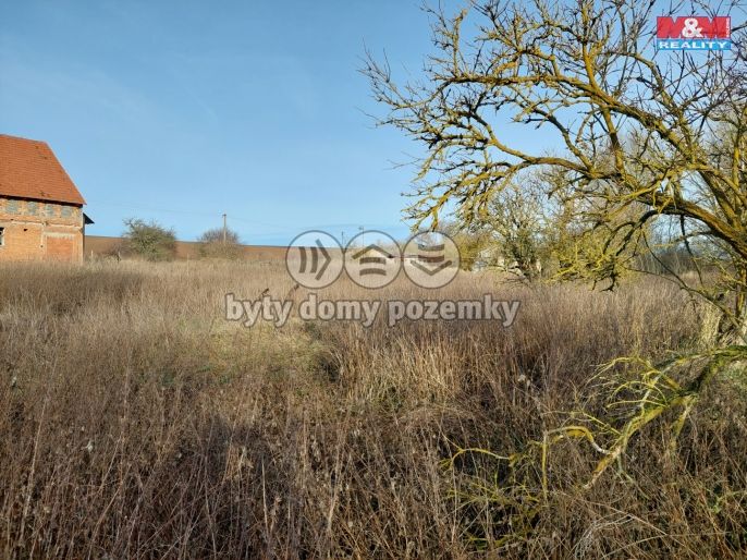 Prodej, Zemědělská usedlost, Třebovle