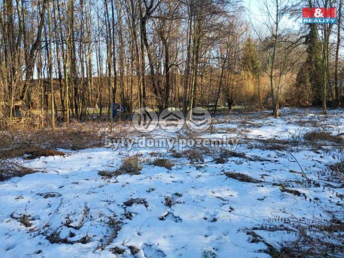 Prodej, Zahrada, Kořenice