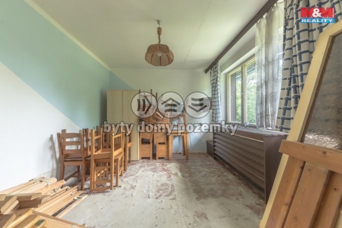 Prodej, Hotel, penzion, Plavy