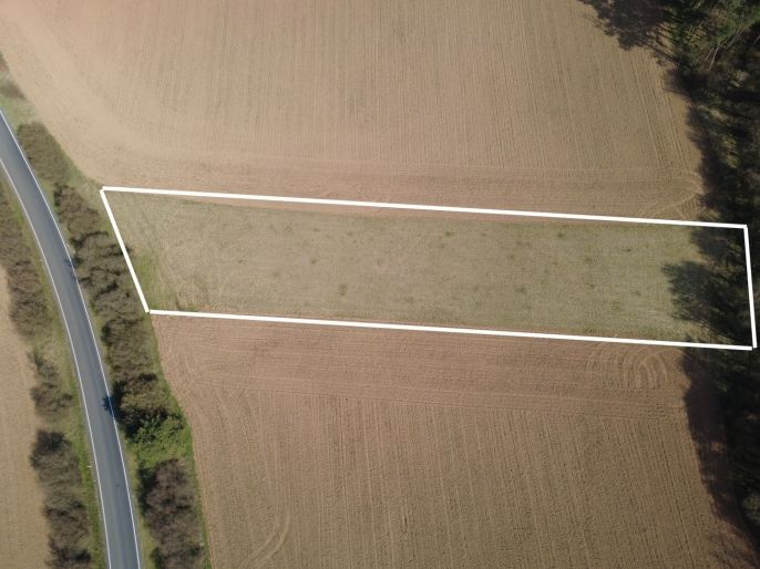 Prodej, Pole, Drevníky