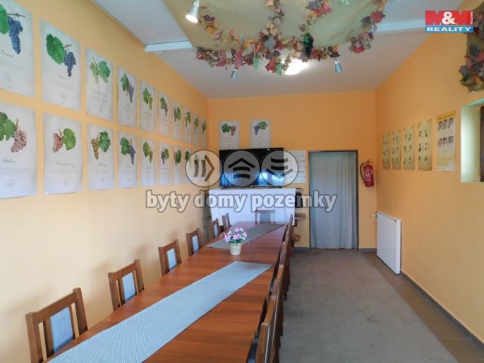 Prodej, Hotel, penzion, Březí