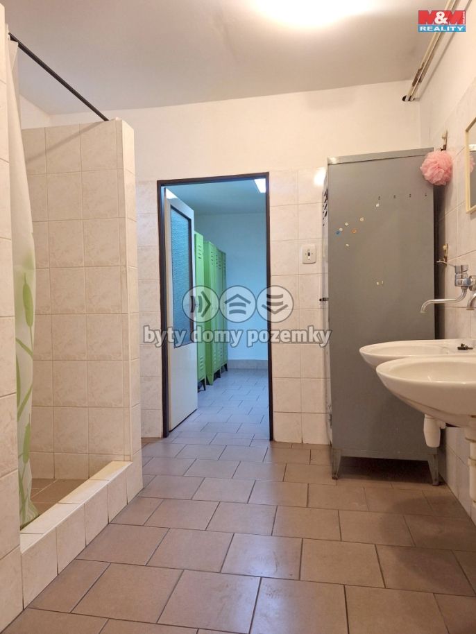 Prodej, Výrobní objekt, Nový Bydžov