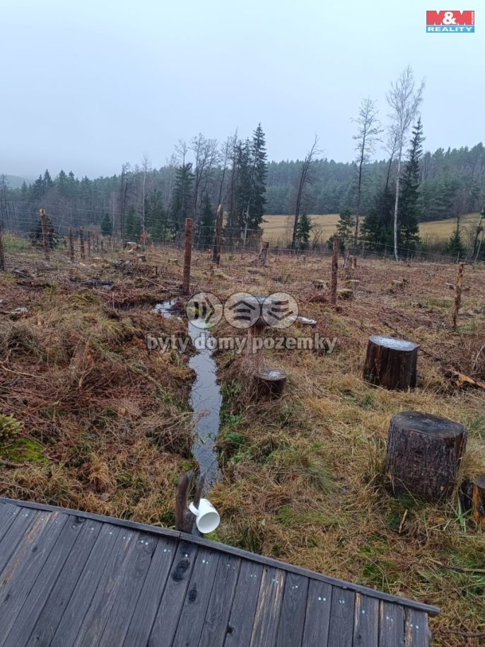 Prodej, Les, Vacovice