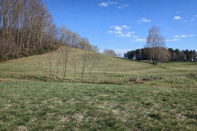 Prodej, Louka, Janův Důl