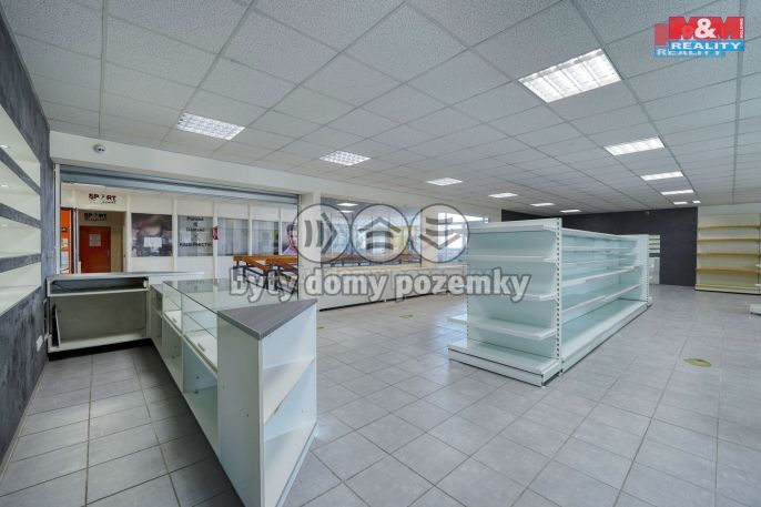 Pronájem, Obchod a služby, Třemošná