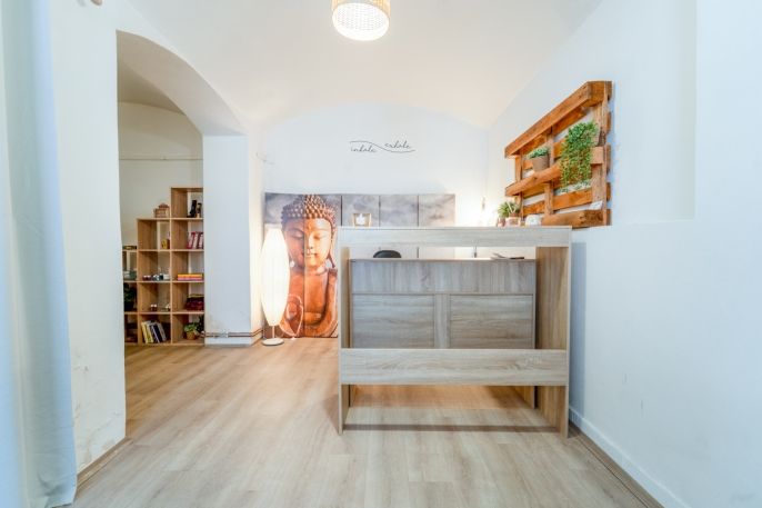 Pronájem, Obchod a služby, Plzeň