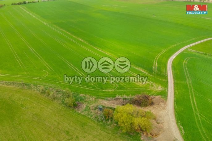 Prodej, Louka, Olešnice