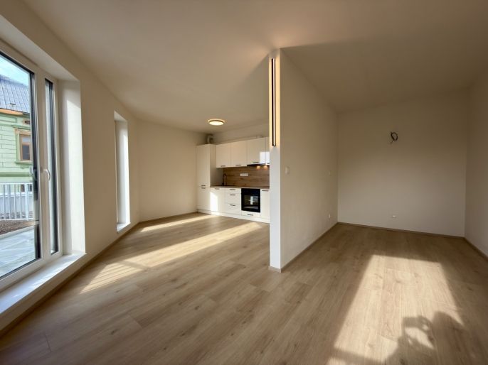 Pronájem, Byt 1+kk, České Budějovice