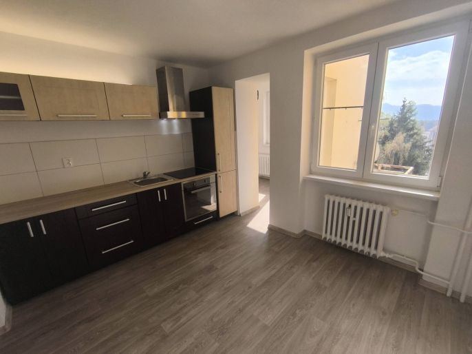 Pronájem, Byt 2+1, Ústí nad Labem