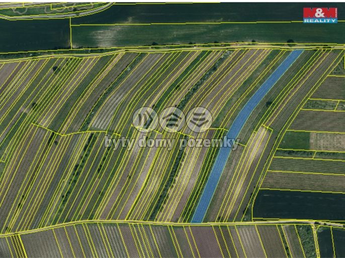 Prodej, Vinice, Dolní Dunajovice