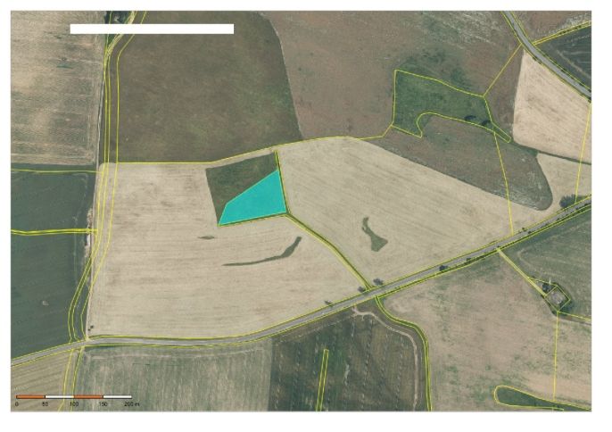 Prodej, Pole, Kladruby