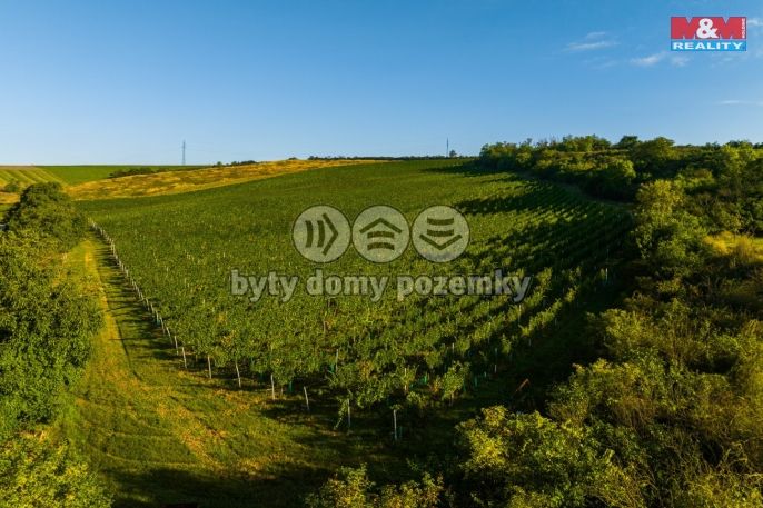 Prodej, Vinice, Šardice