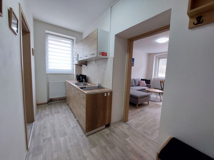 Prodej, Byt 2+1, Jáchymov