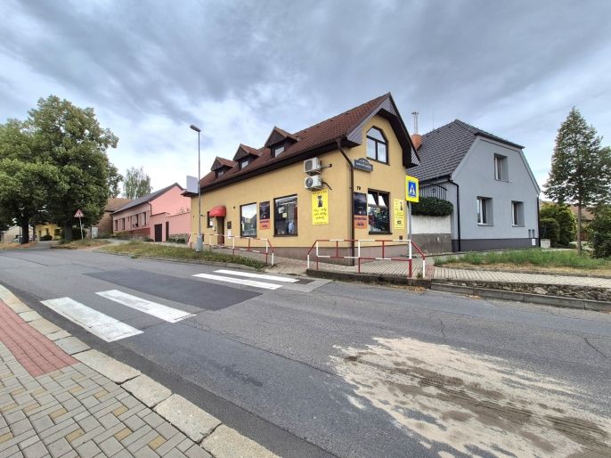 Pronájem, Obchod a služby, Čelákovice