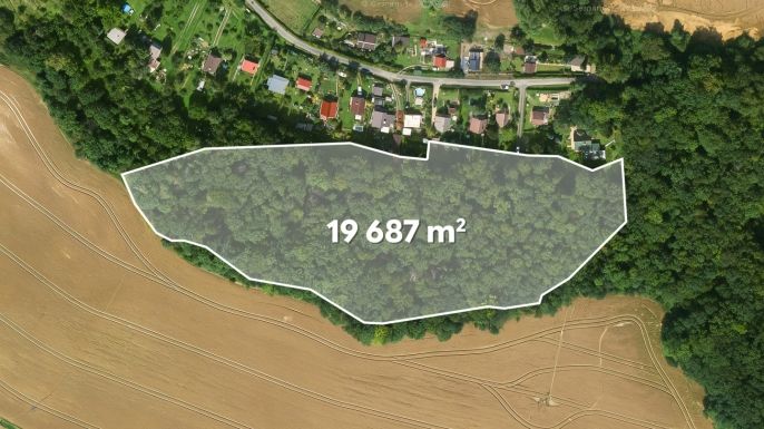 Prodej, Les, Libochovice