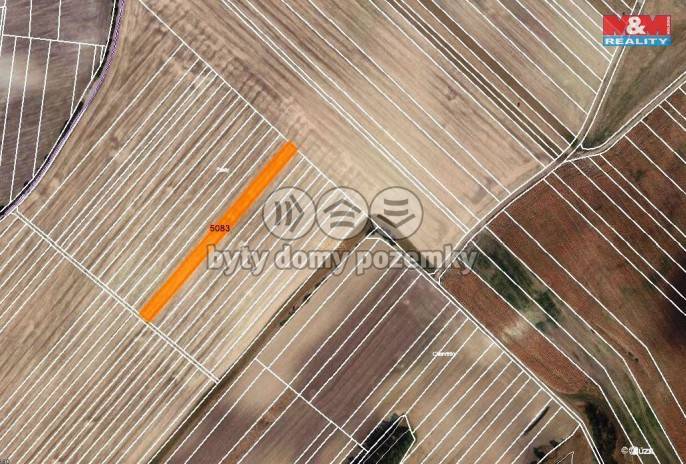 Prodej, Pole, Šardice