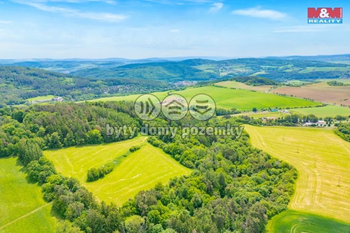 Prodej, Les, Chyňava