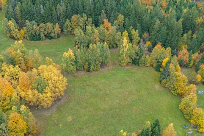 Prodej, Louka, Tanvald