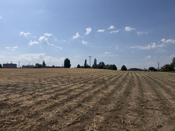 Prodej, Pole, Lysice