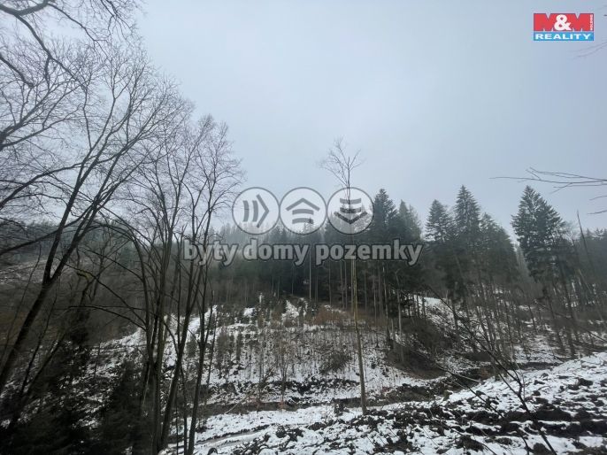 Prodej, Les, Záhoří