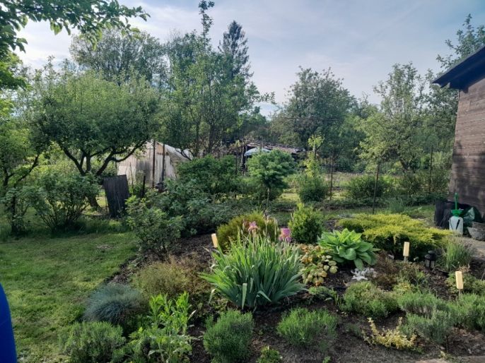 Prodej, Zahrada, Havířov