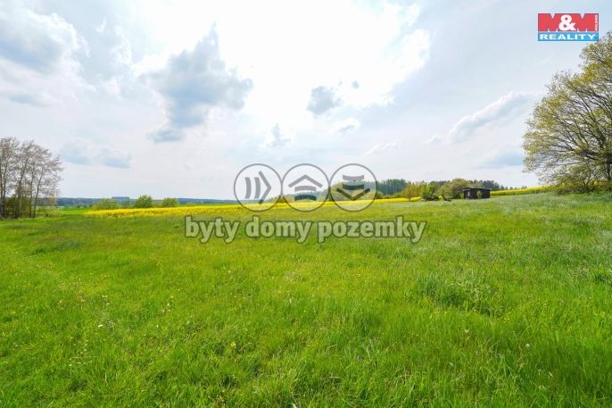 Prodej, Pole, Ostrov u Bezdružic