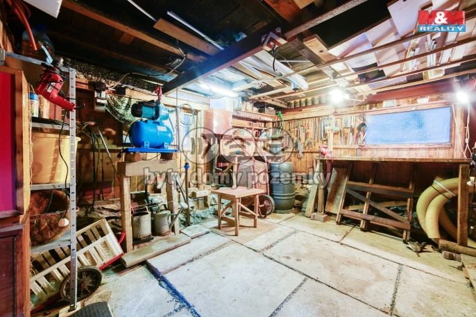 Prodej, Chata, Plasy